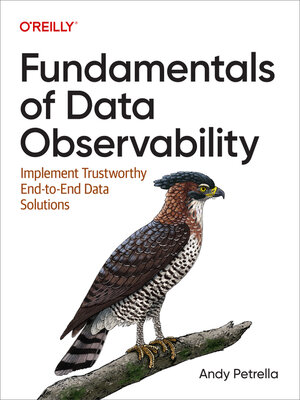 cover image of Fundamentals of Data Observability